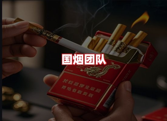 国烟团队